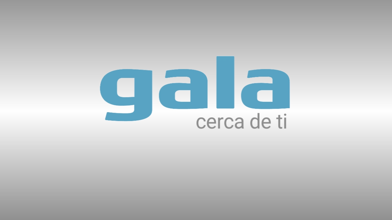 Servicio Técnico Oficial Gala Alicante