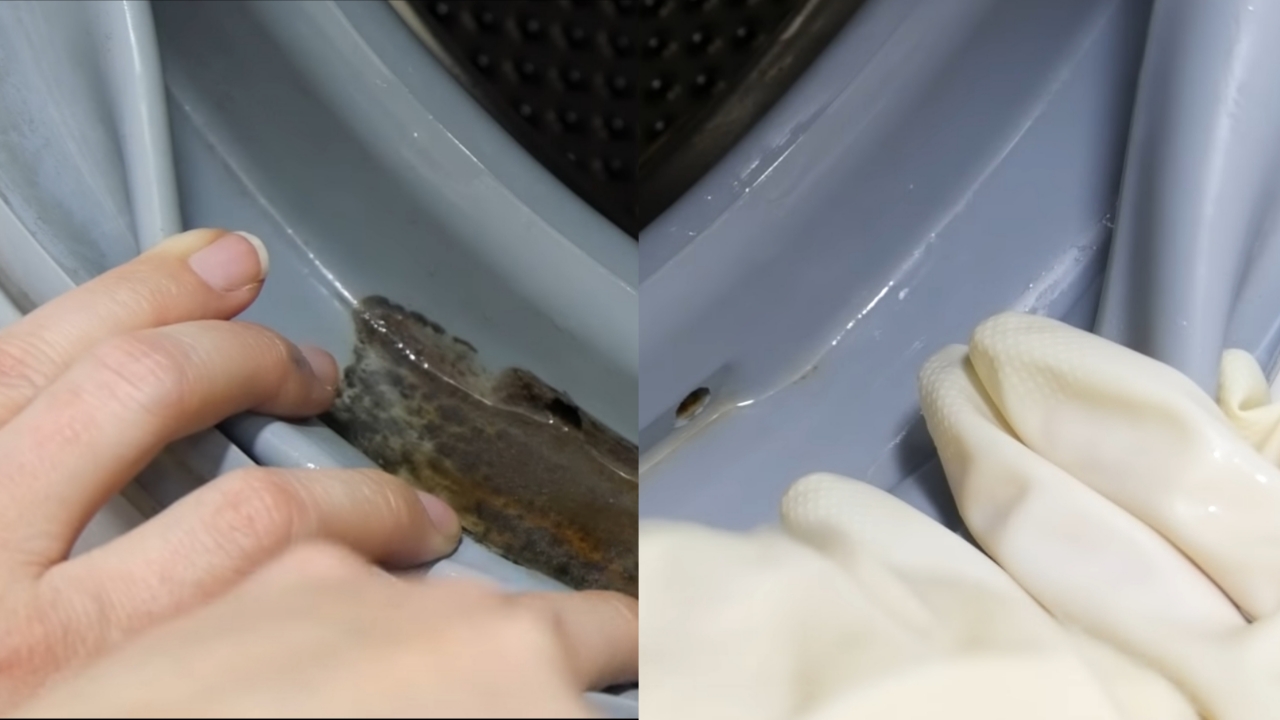 ¿Como limpiar la goma de la lavadora?